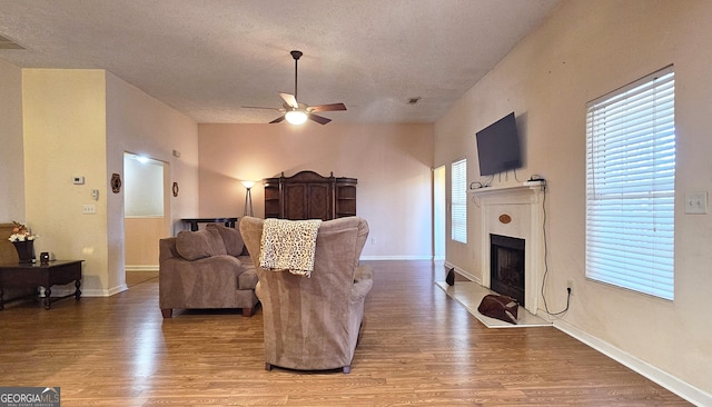 living room featuring a fireplace, wood finished floors, and a wealth of natural light