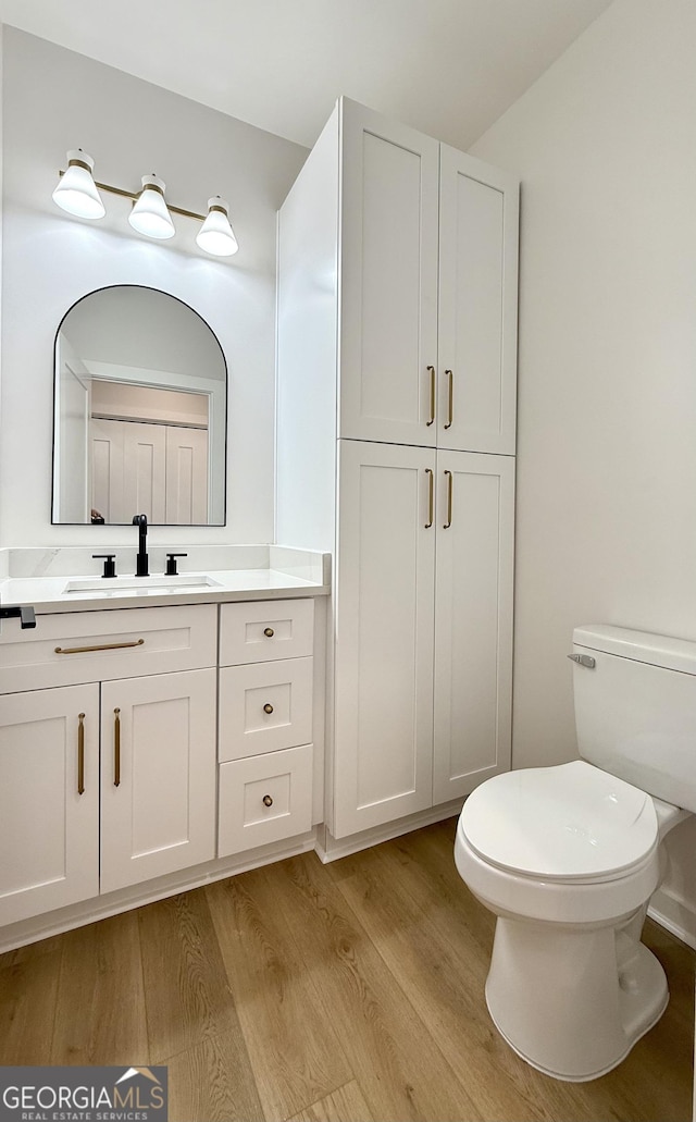 bathroom with vanity, toilet, and wood finished floors