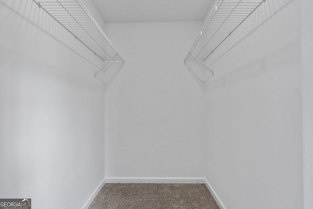 walk in closet with carpet floors