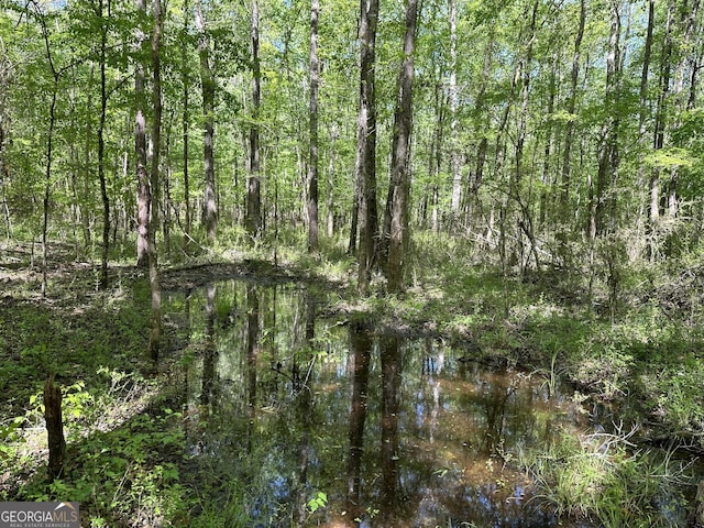 Listing photo 3 for 260 Powell Church Rd Unit 50Acres, Talbotton GA 31827