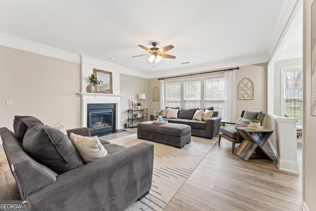 702 Berkeley Ter, Canton, GA 30115 - living area with light wood finished floors, ceiling fan, plenty of natural light, and ornamental molding
