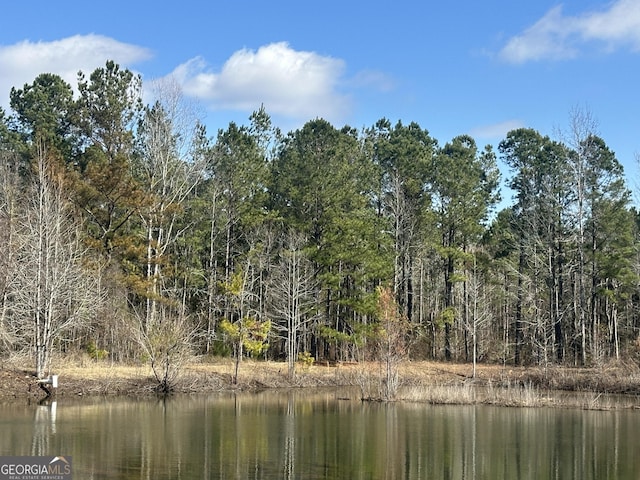 0 Newington Hwy Unit 5.01Acres, Sylvania GA, 30467 land for sale