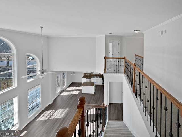 hall featuring a towering ceiling, ornamental molding, wood finished floors, and an upstairs landing