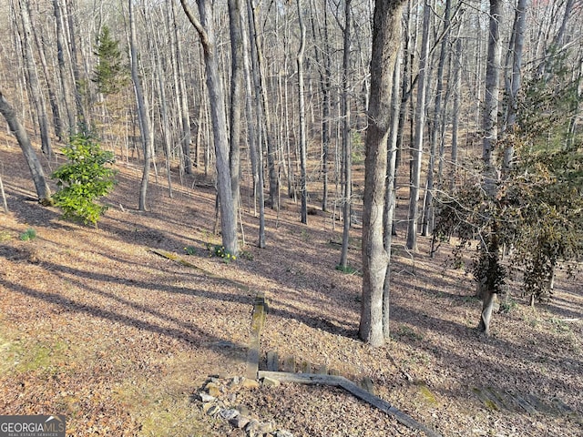 view of local wilderness