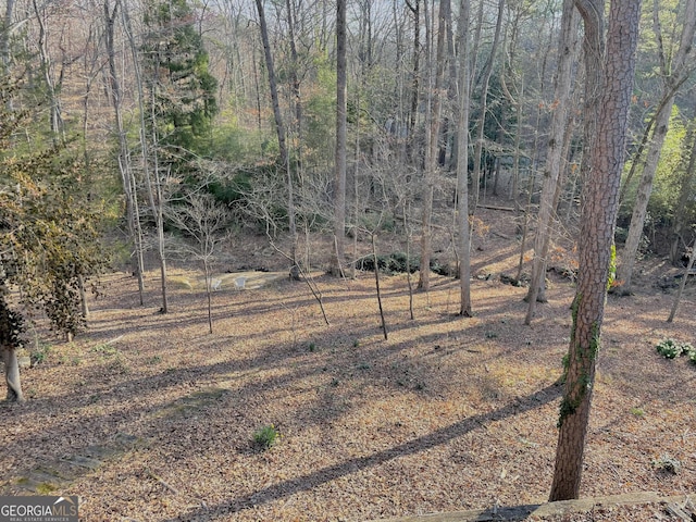 view of yard with a wooded view