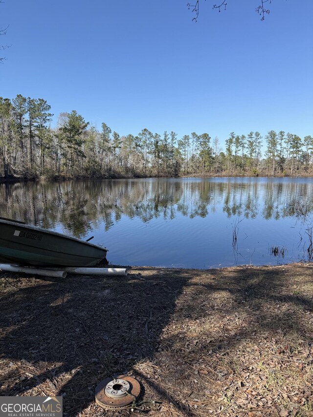 312 Schuman Dr, Bloomingdale, GA 31302 - water view