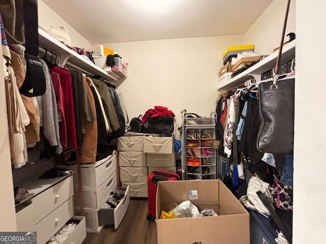 walk in closet with dark wood-type flooring