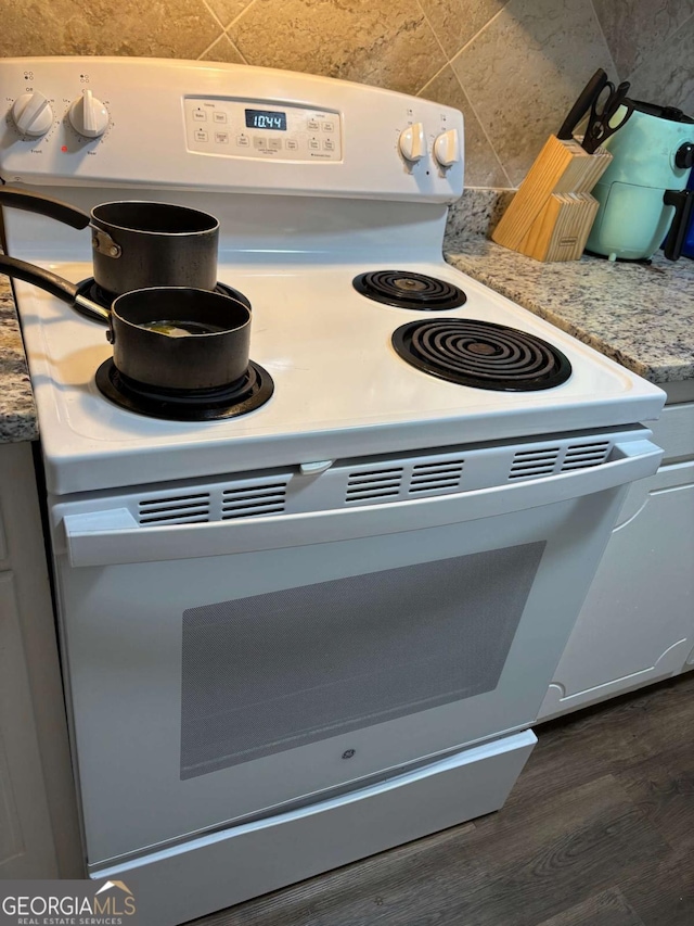 room details featuring dark wood-style floors and electric stove