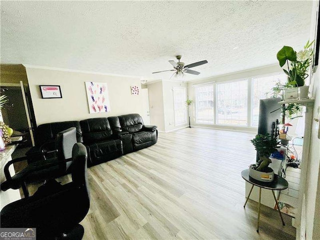 living room with a ceiling fan, ornamental molding, a textured ceiling, and light wood finished floors