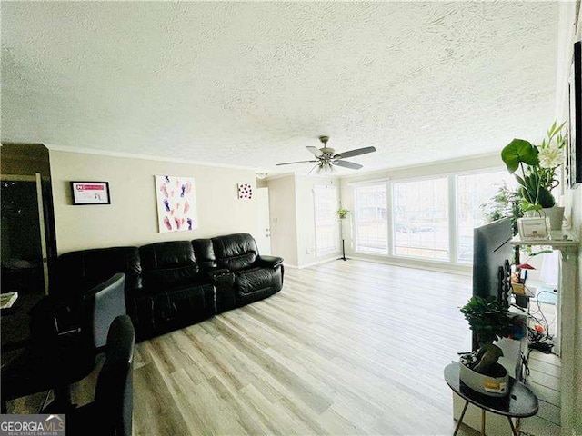 living room with a ceiling fan, a textured ceiling, and wood finished floors