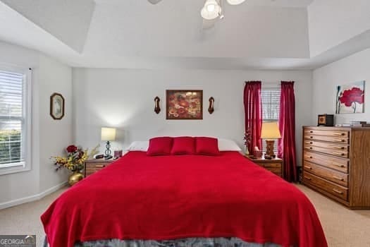 bedroom with carpet, baseboards, and a tray ceiling