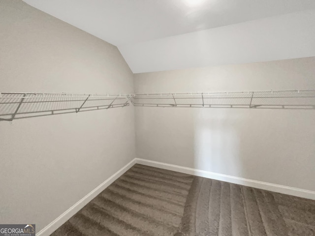 spacious closet with vaulted ceiling and wood finished floors