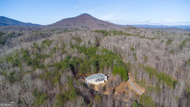 birds eye view of property with a forest view and a mountain view