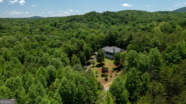 2656 Panorama Dr, Sautee Nacoochee, GA 30571 - bird's eye view of a heavily wooded area