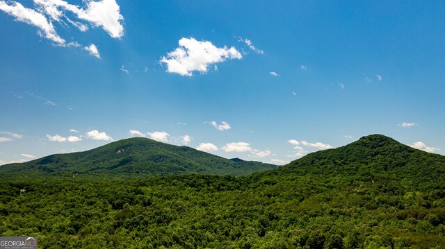 2656 Panorama Dr, Sautee Nacoochee, GA 30571 - view of mountain backdrop featuring a heavily wooded area