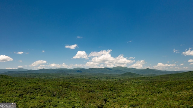 2656 Panorama Dr, Sautee Nacoochee, GA 30571 - mountain view featuring a heavily wooded area