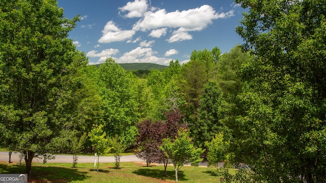 2656 Panorama Dr, Sautee Nacoochee, GA 30571 - view of property's community with a yard