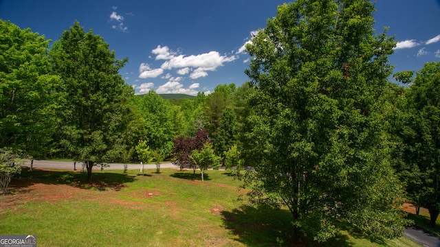 2656 Panorama Dr, Sautee Nacoochee, GA 30571 - view of grassy yard