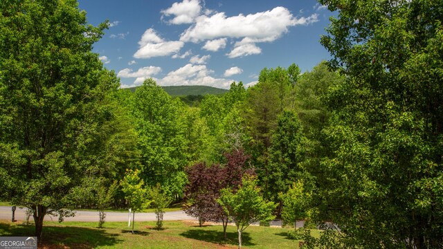 2656 Panorama Dr, Sautee Nacoochee, GA 30571 - view of community with a yard