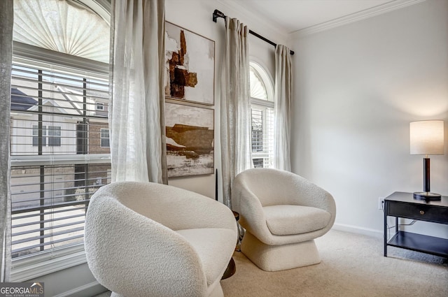 sitting room featuring carpet floors, ornamental molding, and baseboards