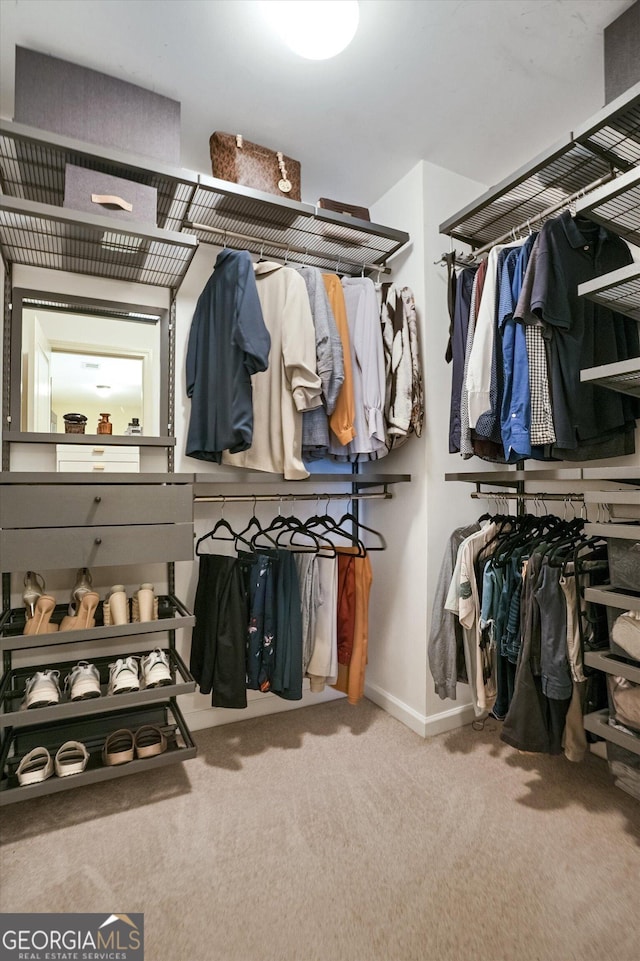 walk in closet featuring carpet floors