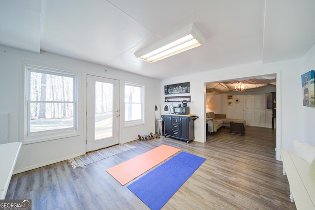 210 Wrights Mill Way, Canton, GA 30115 - exercise room featuring wood finished floors and baseboards