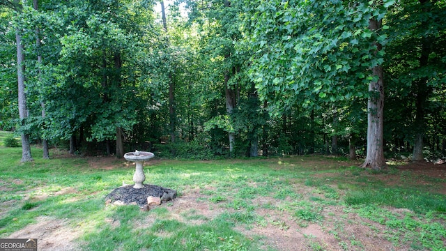210 Wrights Mill Way, Canton, GA 30115 - view of grassy yard