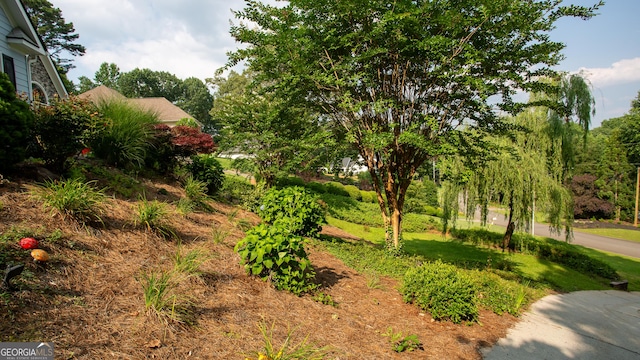 210 Wrights Mill Way, Canton, GA 30115 - view of yard