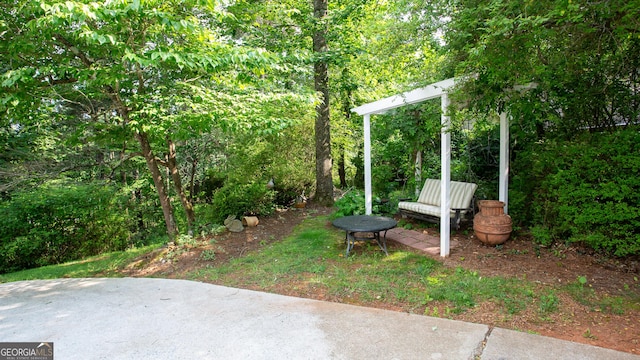 210 Wrights Mill Way, Canton, GA 30115 - view of yard with a patio
