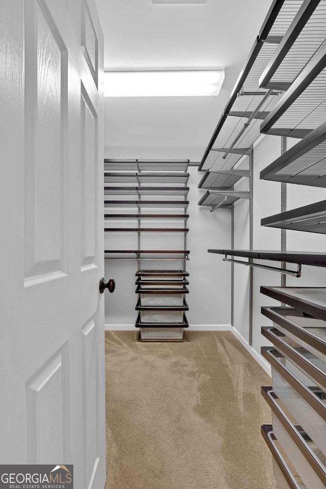 walk in closet featuring carpet flooring