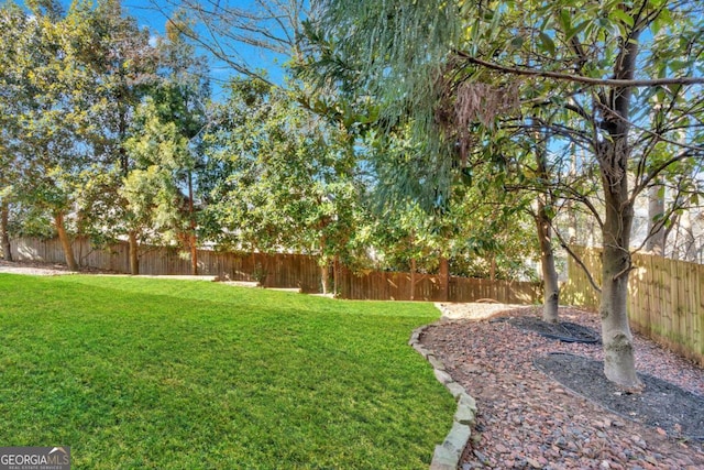 view of yard with a fenced backyard