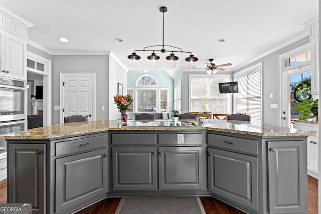 kitchen featuring crown molding, black electric stovetop, gray cabinetry, dark wood-type flooring, and plenty of natural light