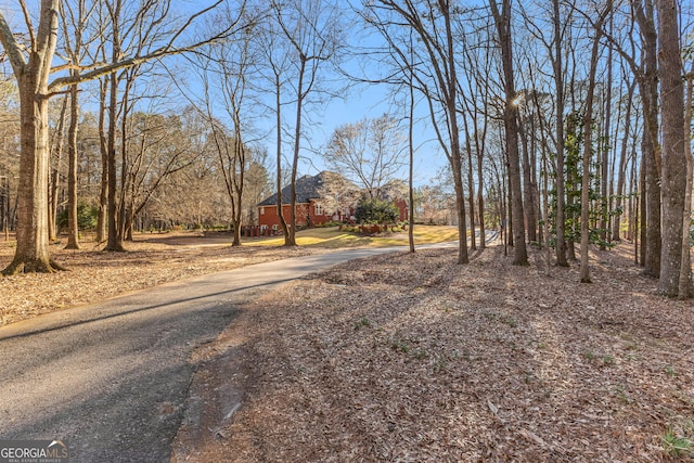 view of yard with driveway