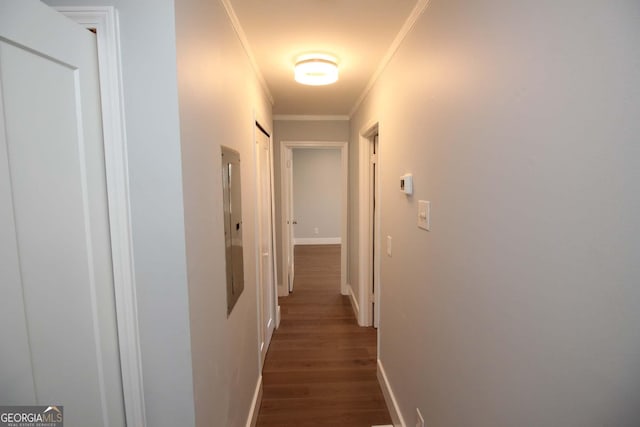 hallway featuring electric panel, baseboards, dark wood finished floors, and crown molding