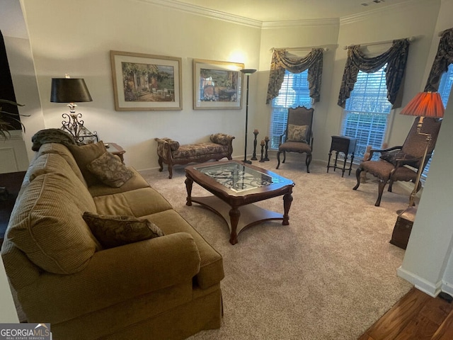 living area featuring carpet, visible vents, ornamental molding, and baseboards