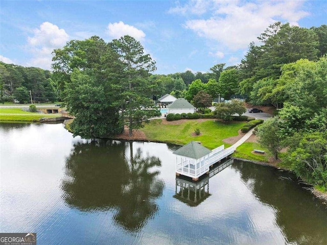 dock area with a water view