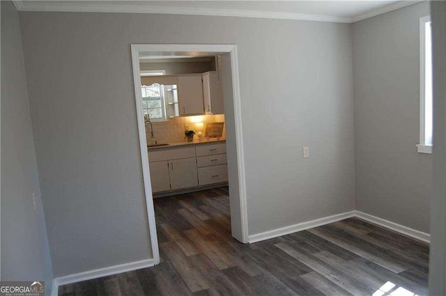 interior space featuring ornamental molding, dark wood-type flooring, a sink, and baseboards