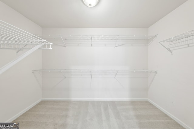 walk in closet with carpet flooring