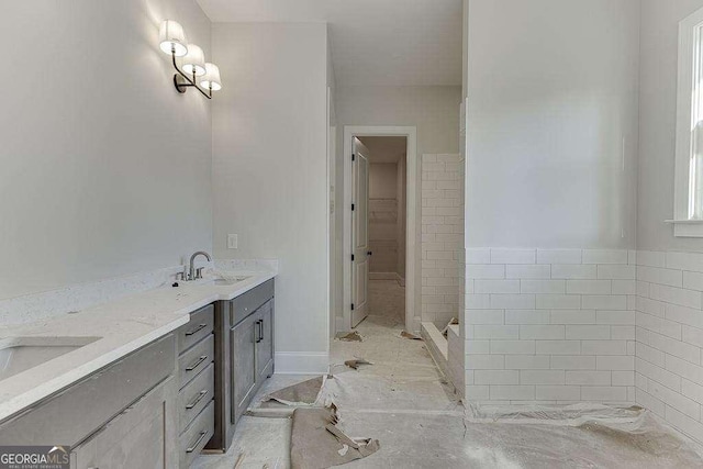 bathroom featuring a walk in closet, a sink, and double vanity