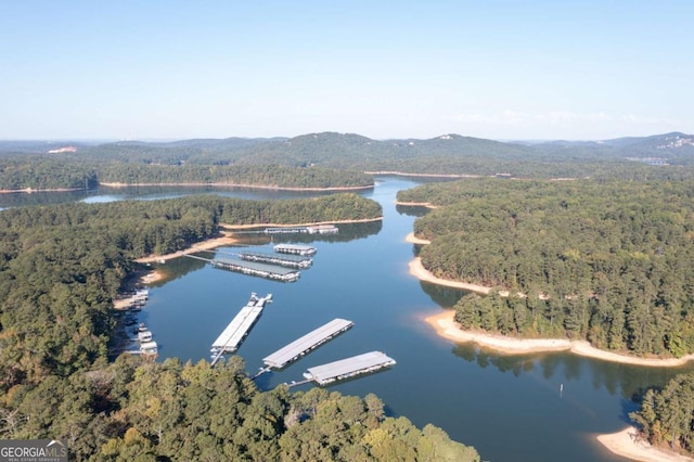 drone / aerial view featuring a water view and a view of trees