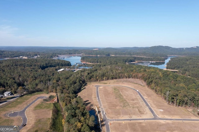 birds eye view of property featuring a forest view and a water view