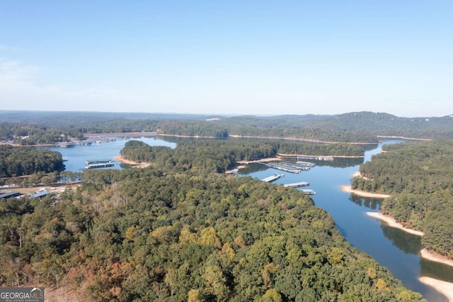 birds eye view of property with a water view and a wooded view