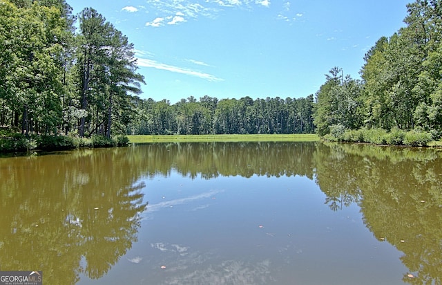 water view featuring a forest view