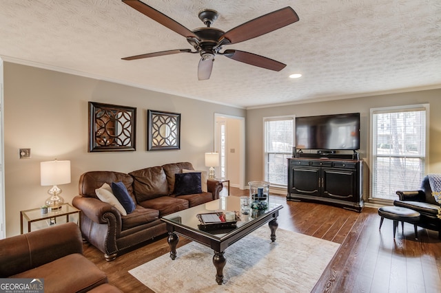 living area featuring dark wood-style floors, plenty of natural light, and ornamental molding