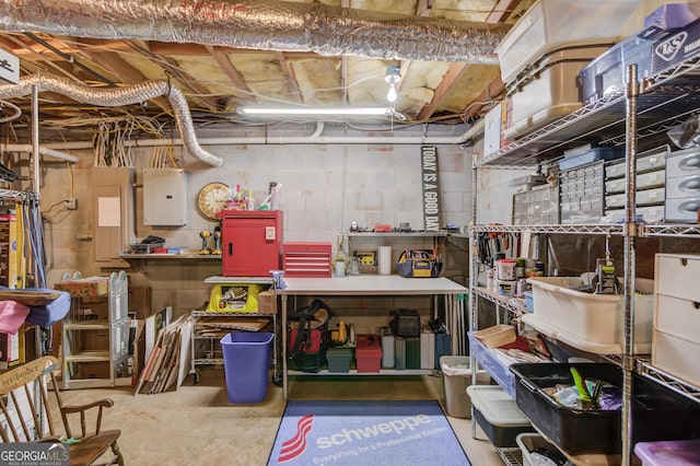 storage room with electric panel