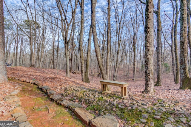 view of yard with a view of trees