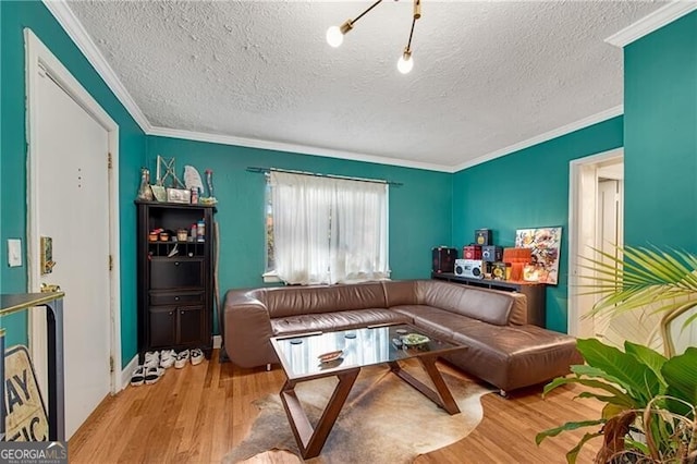 sitting room with a textured ceiling, light wood-type flooring, and crown molding