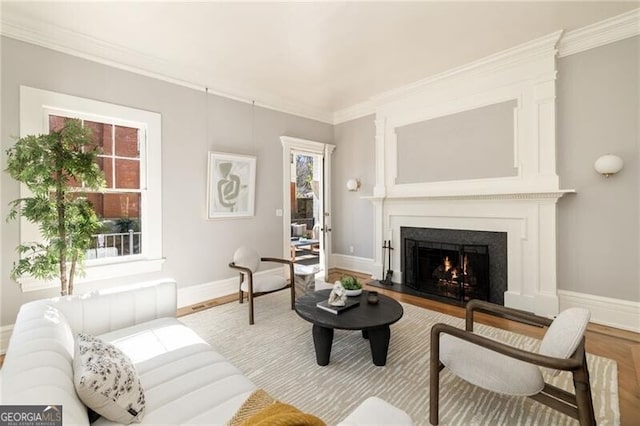 living area with a lit fireplace, ornamental molding, and baseboards