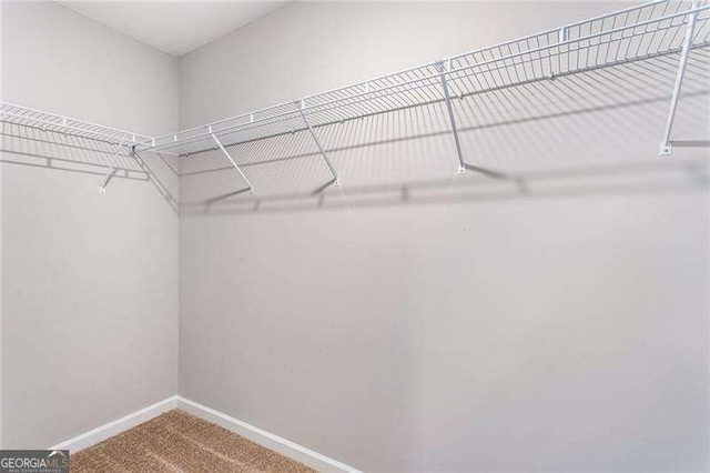 walk in closet with carpet floors