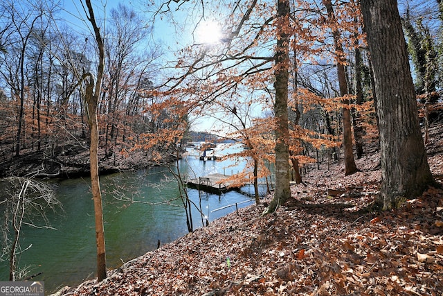 view of dock with a water view